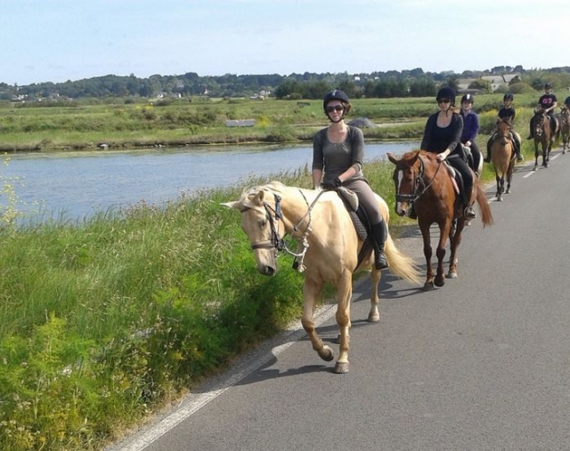 Sortie du centre avec les chevaux